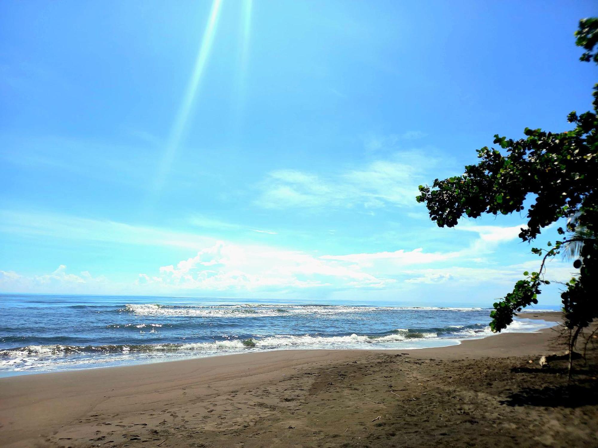 Tortuguero Adventures Beach House Eksteriør billede