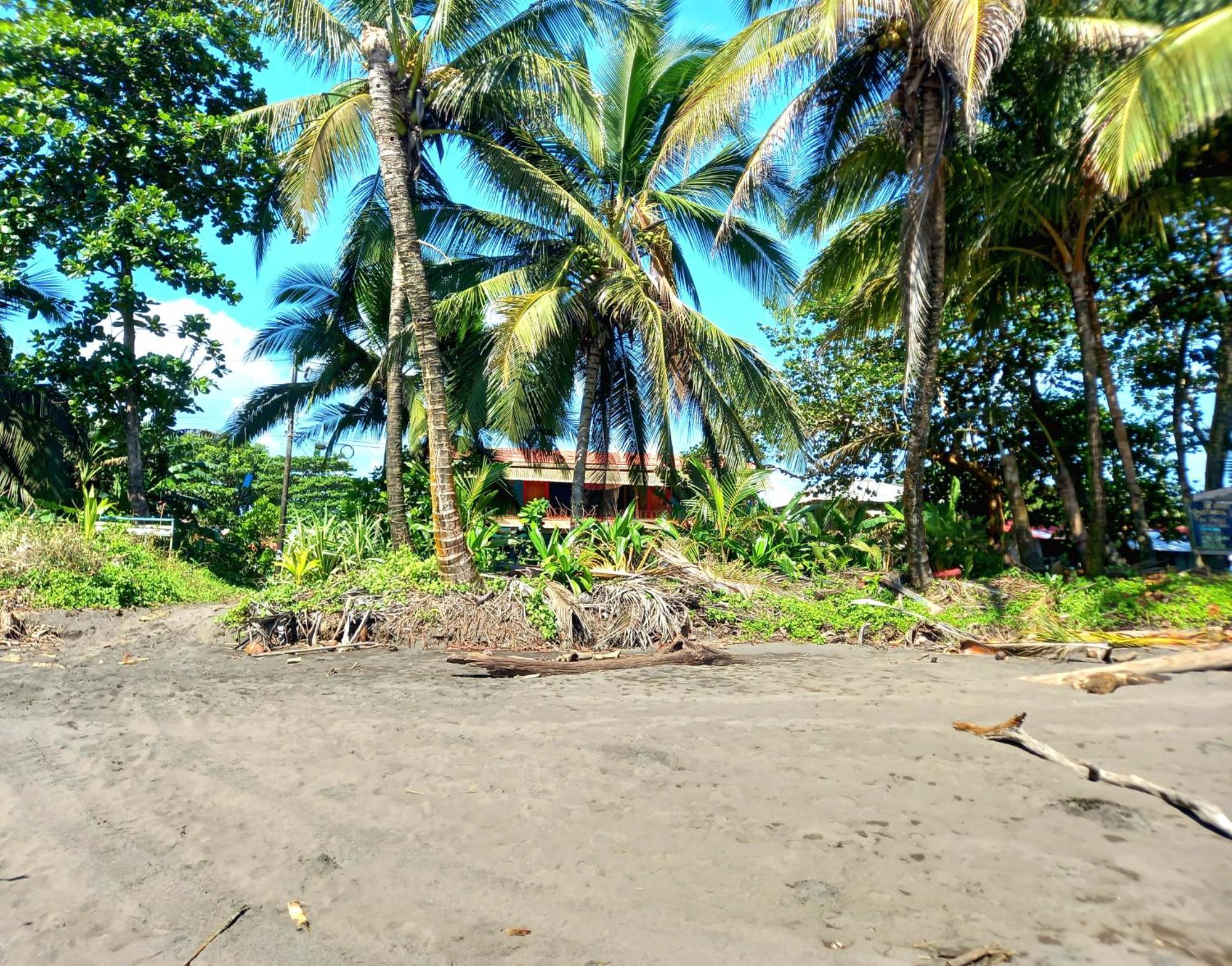 Tortuguero Adventures Beach House Eksteriør billede
