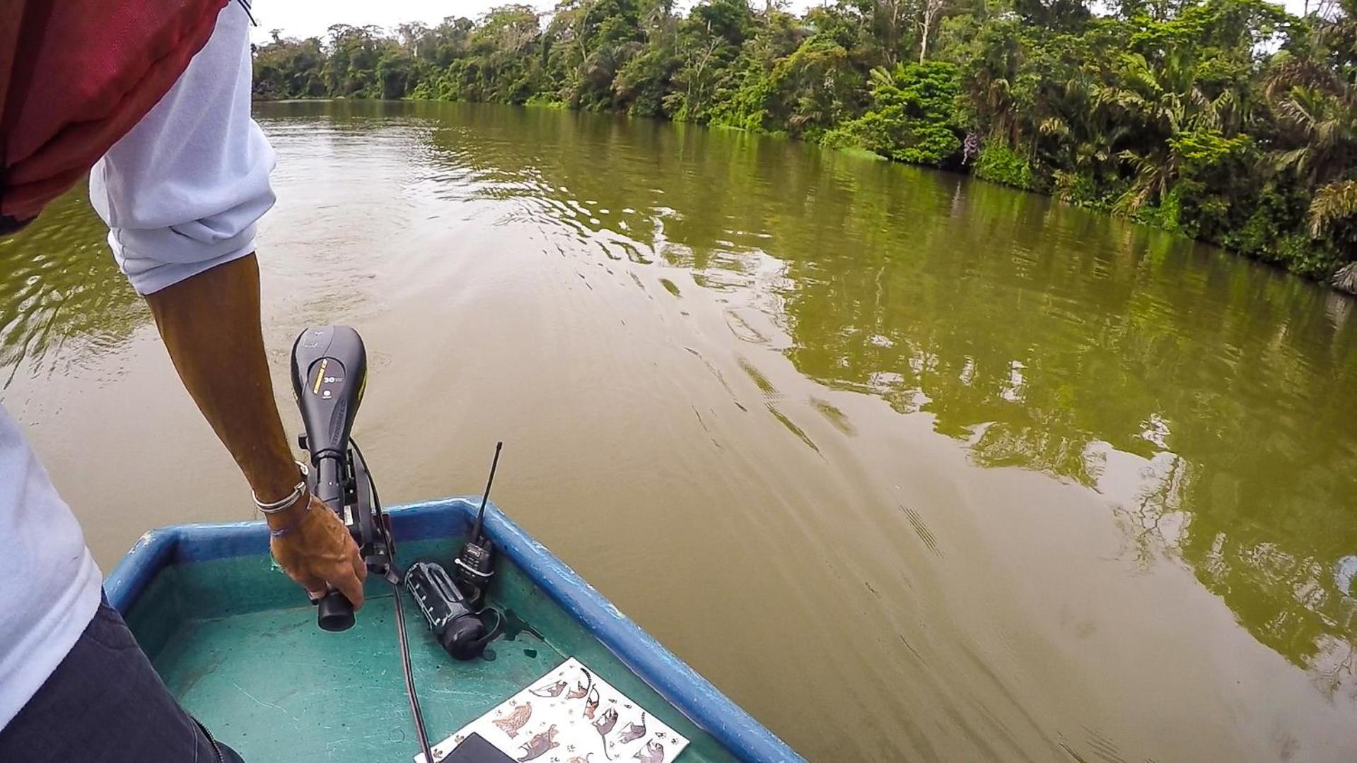Tortuguero Adventures Beach House Eksteriør billede