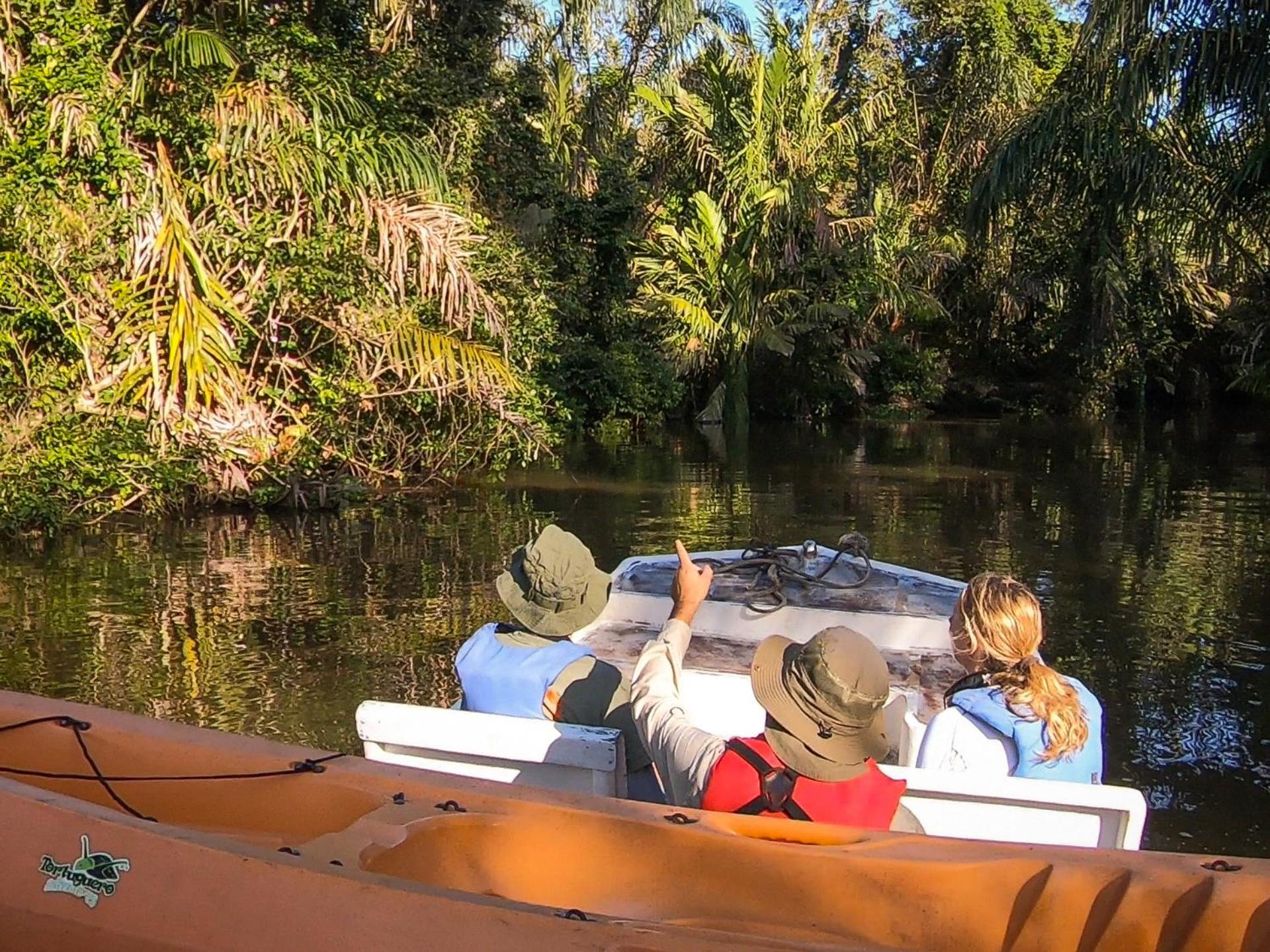 Tortuguero Adventures Beach House Eksteriør billede