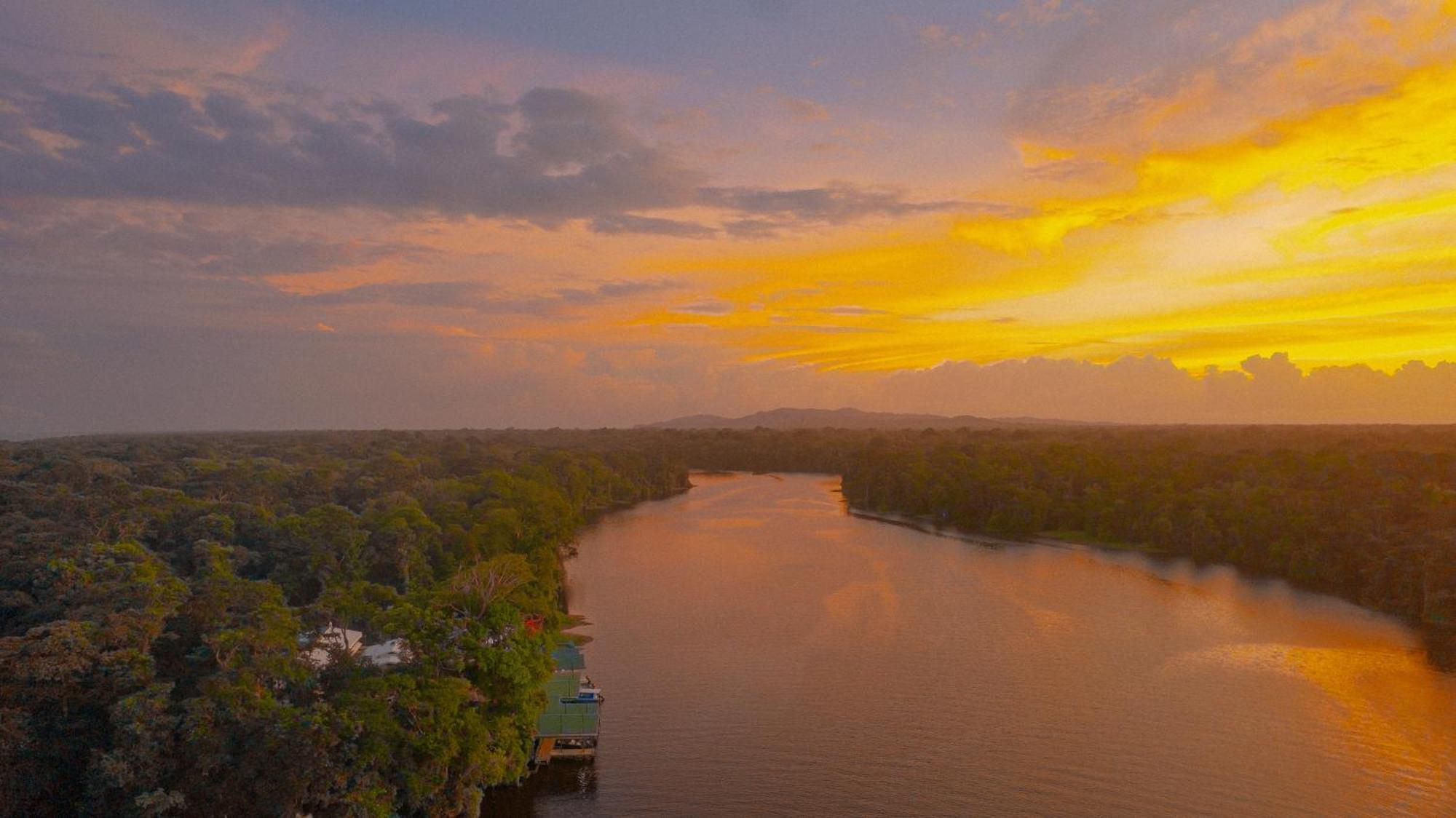 Tortuguero Adventures Beach House Eksteriør billede