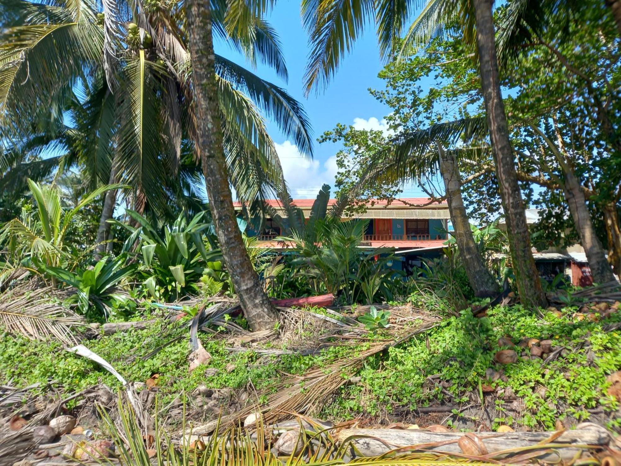 Tortuguero Adventures Beach House Eksteriør billede