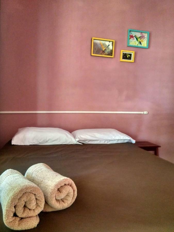Tortuguero Adventures Beach House Eksteriør billede