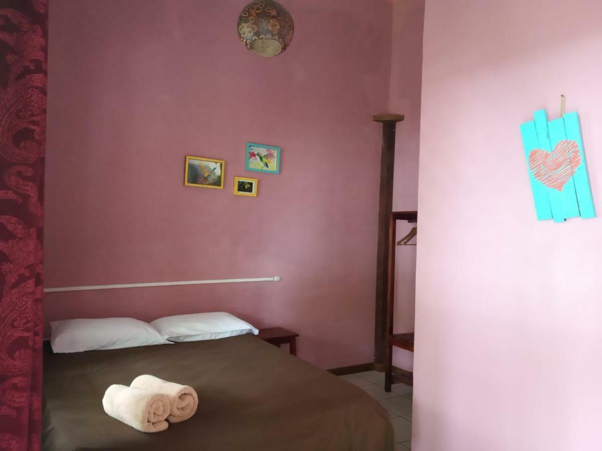 Tortuguero Adventures Beach House Eksteriør billede