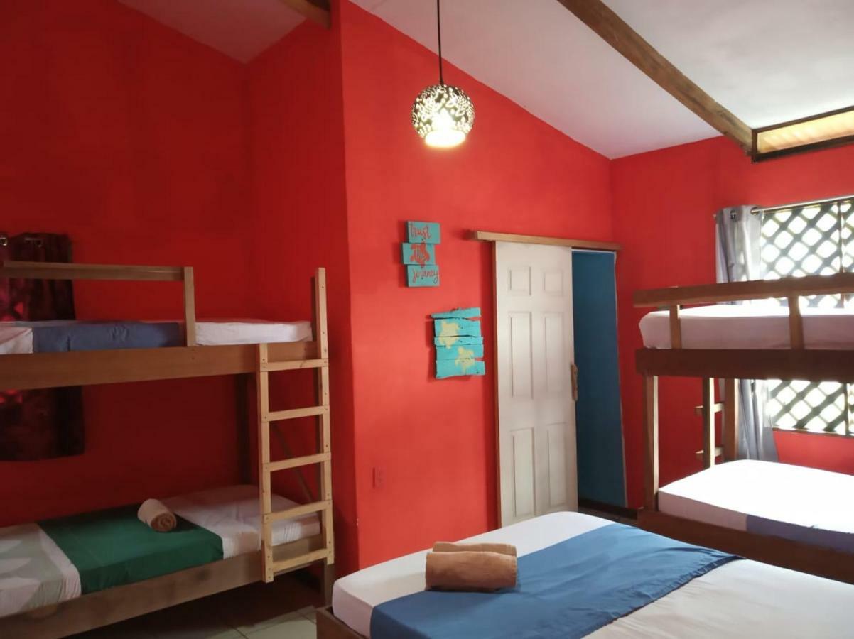 Tortuguero Adventures Beach House Eksteriør billede