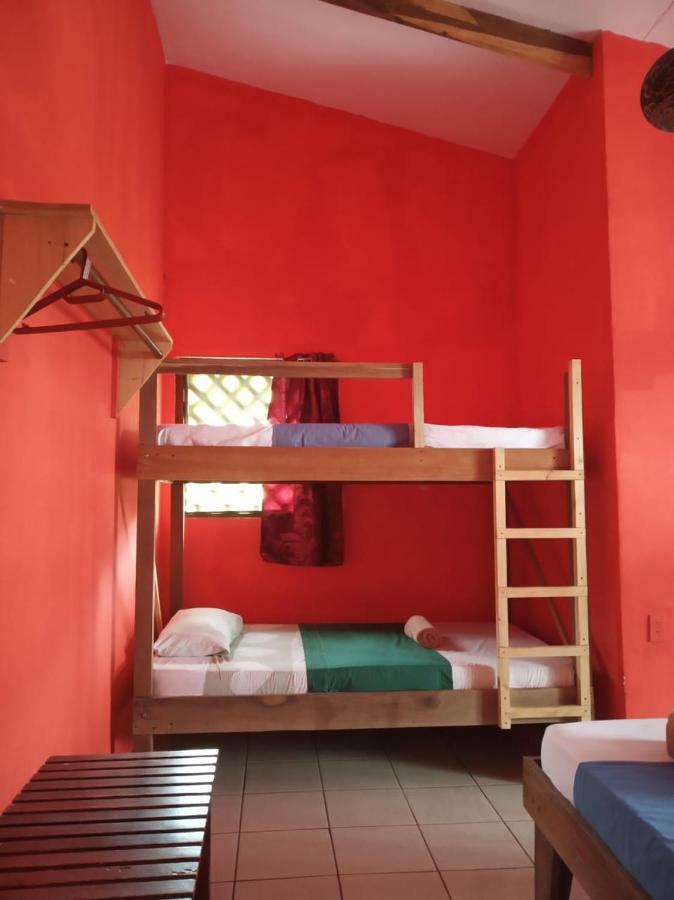 Tortuguero Adventures Beach House Eksteriør billede