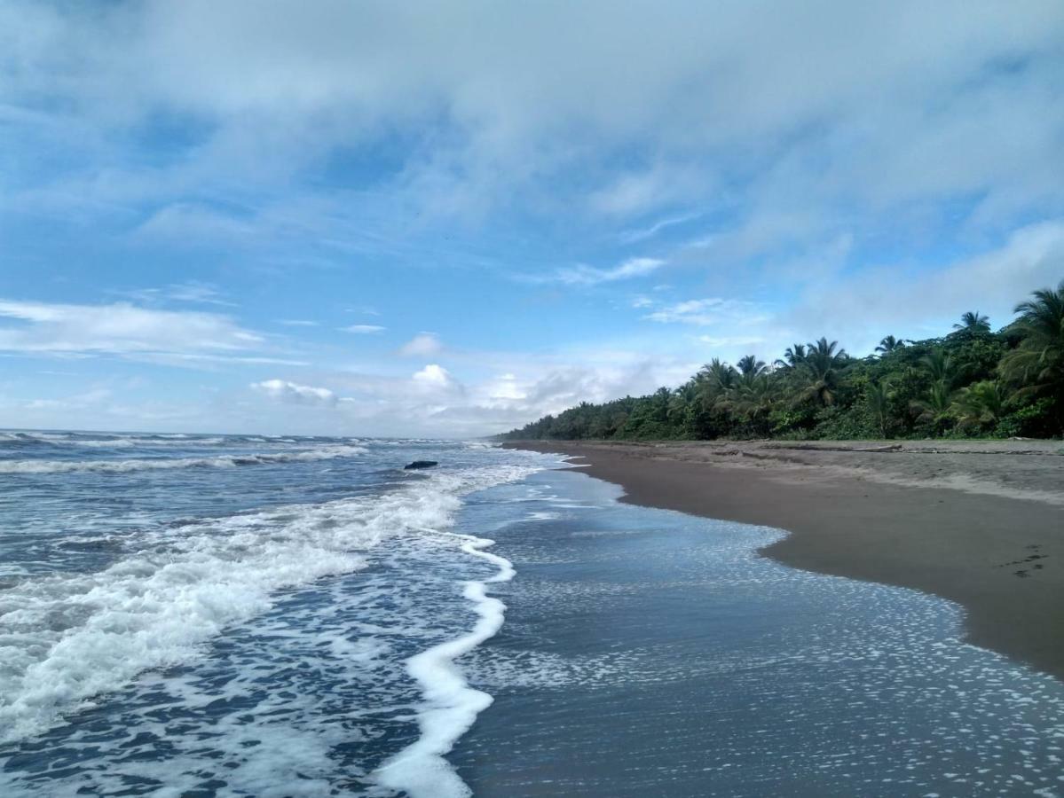 Tortuguero Adventures Beach House Eksteriør billede