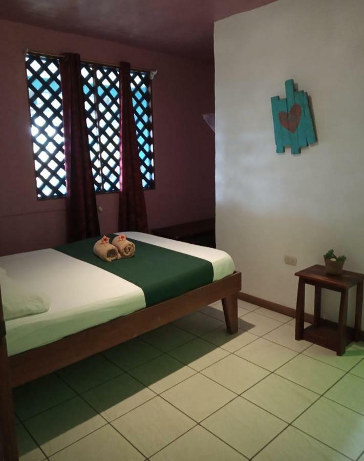 Tortuguero Adventures Beach House Eksteriør billede
