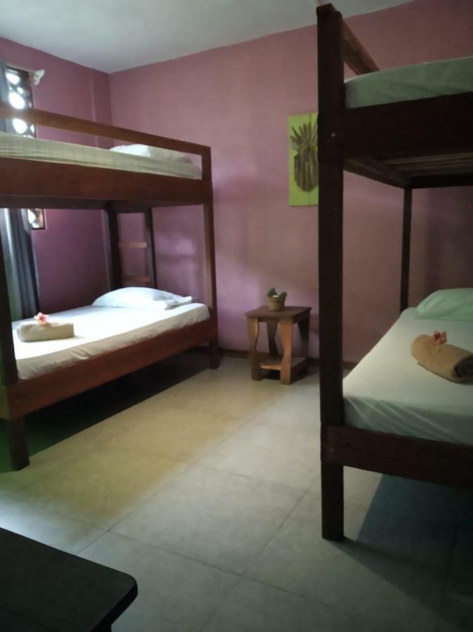 Tortuguero Adventures Beach House Eksteriør billede